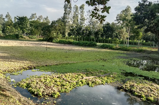 image-here